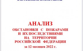 анализ обстановки с пожарами и их последствиями на территории Российской федерации за 12 месяцев 2022 г - фото - 1